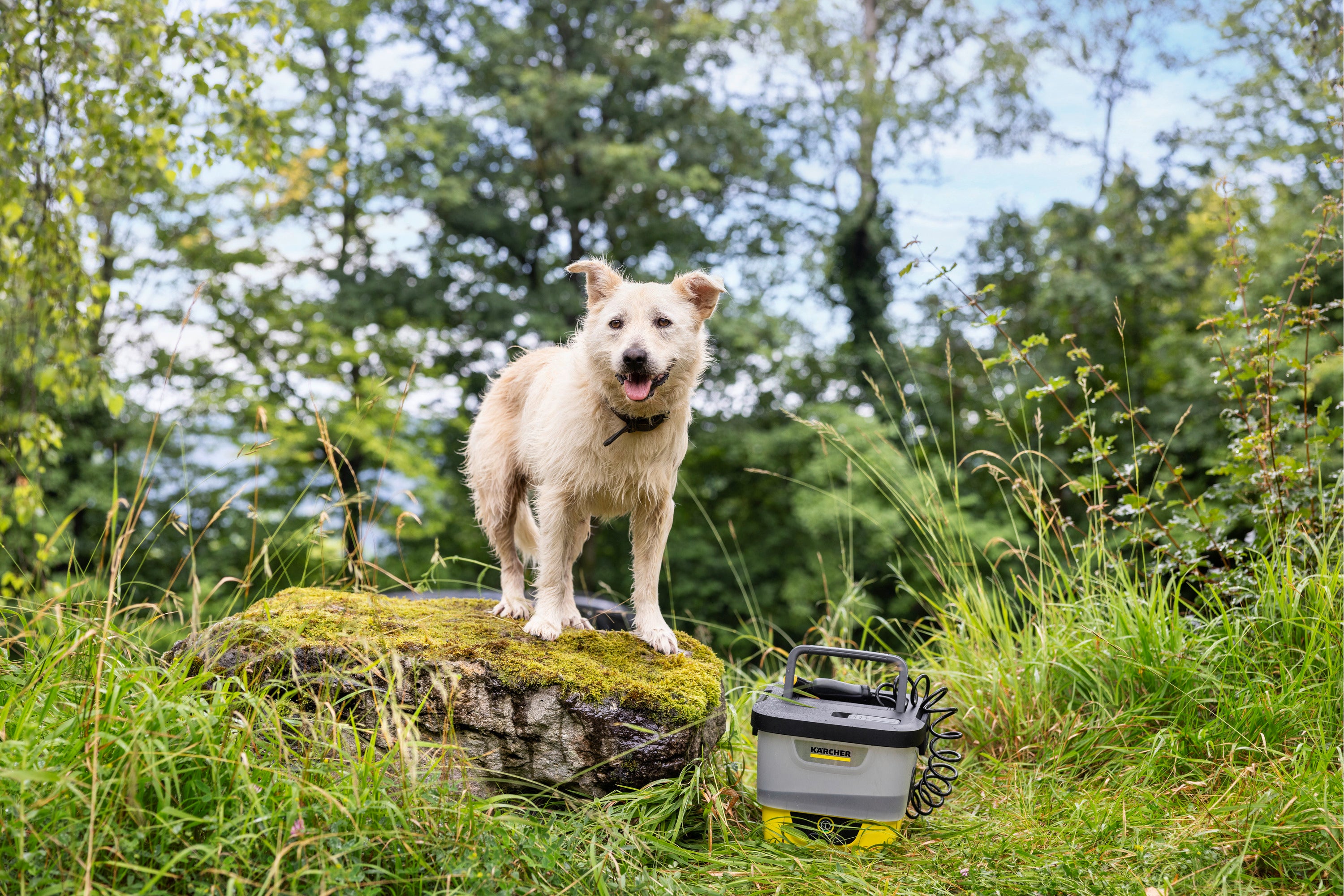 Kärcher Mobile Outdoor Cleaner OC 4 + Pet Kit *EU