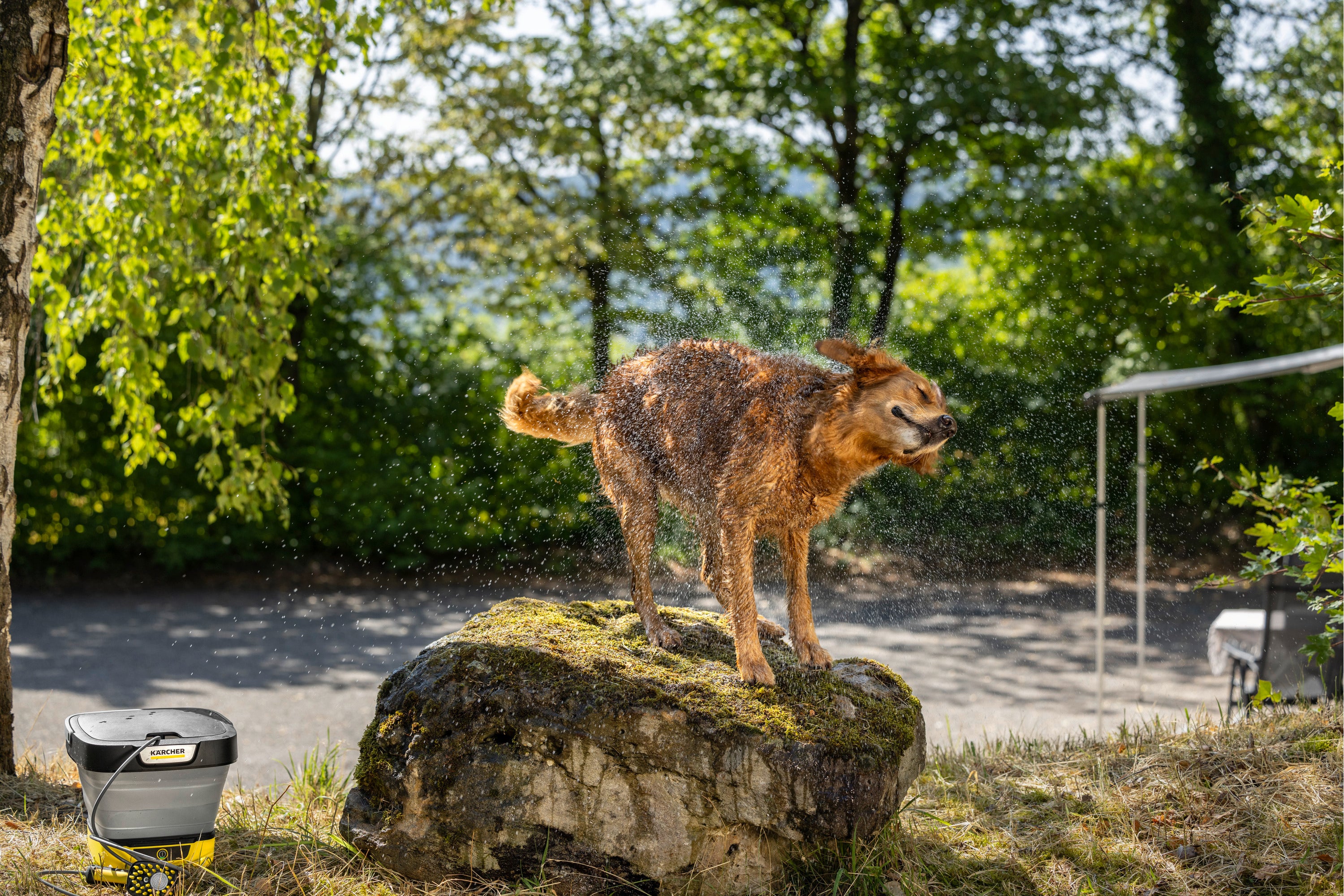 Kärcher Waschbuerste Haustier