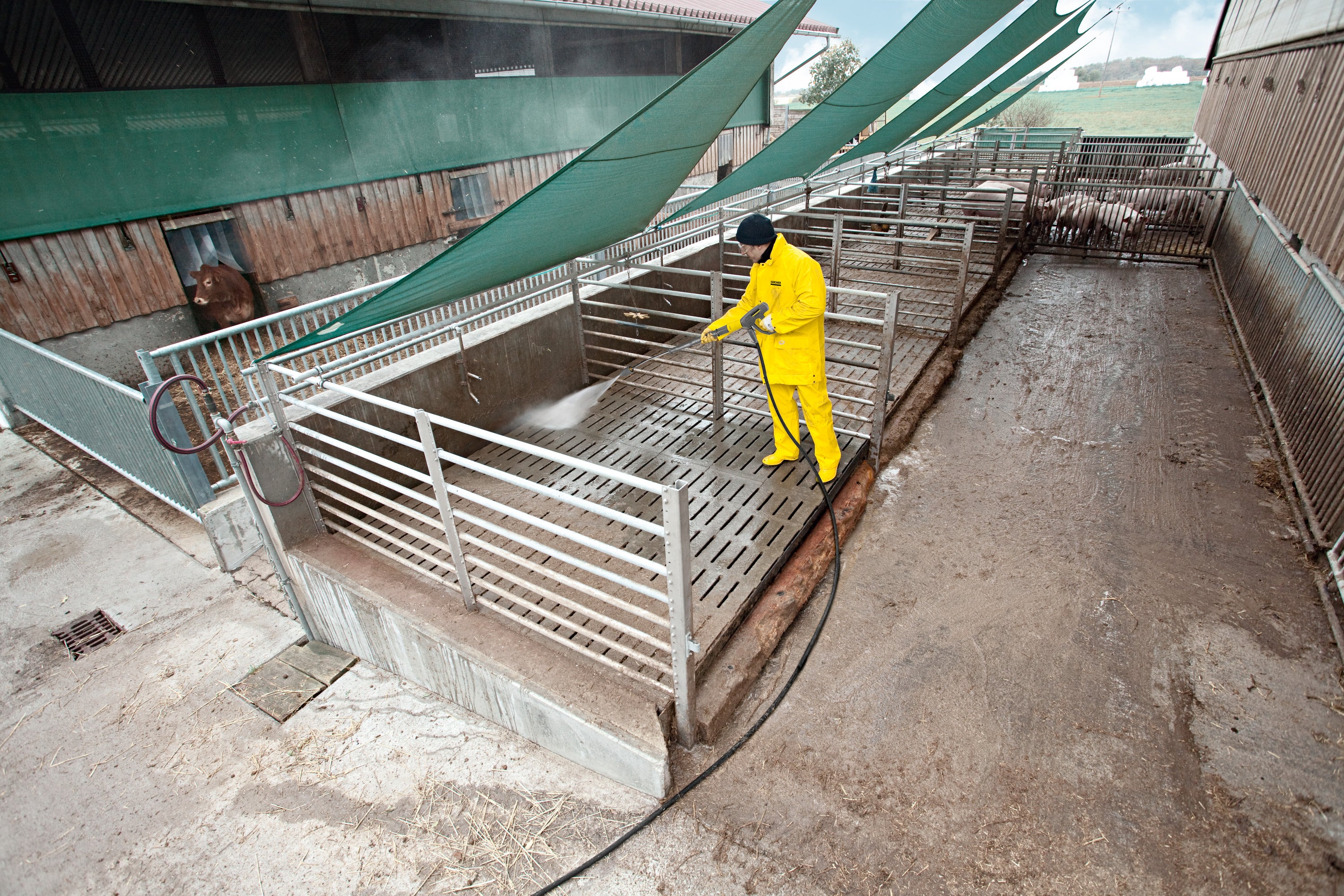 Kärcher Hochdruckreiniger HD 20/15-4 Cage Plus