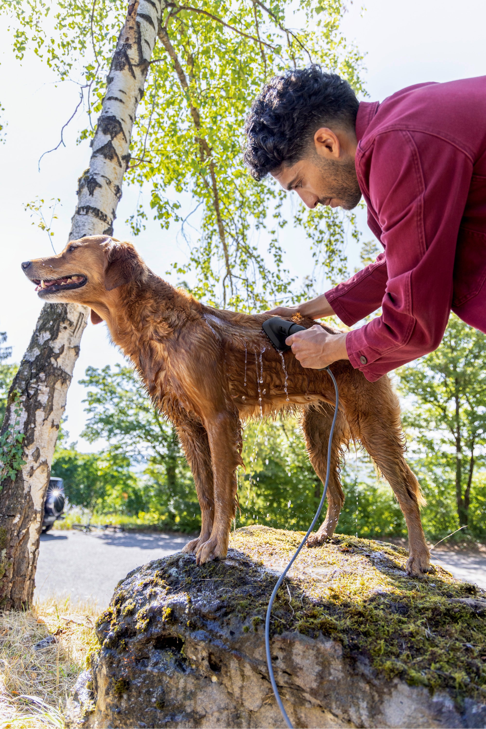 Kärcher Waschbuerste Haustier